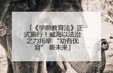 《学前教育法》正式施行！威海以法治之力托举 “幼有优育” 新未来