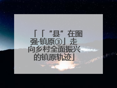 「“县”在图强·镇原③」走向乡村全面振兴的镇原轨迹