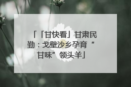 「甘快看」甘肃民勤：戈壁沙乡孕育“甘味”领头羊