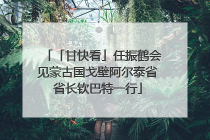 「甘快看」任振鹤会见蒙古国戈壁阿尔泰省省长钦巴特一行