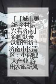 「城市更新·乡村振兴看济南」锦鲤跃金 沃野图新！济南市长清区：小锦鲤大产业 游出农旅新风景