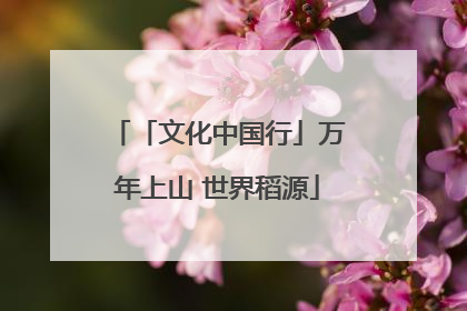 「文化中国行」万年上山 世界稻源