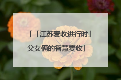「江苏麦收进行时」父女俩的智慧麦收