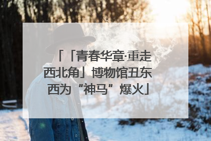 「青春华章·重走西北角」博物馆丑东西为“神马”爆火