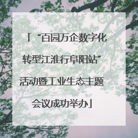 “百园万企数字化转型江淮行阜阳站”活动暨工业生态主题会议成功举办