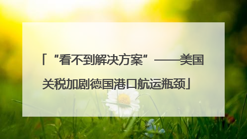 “看不到解决方案”——美国关税加剧德国港口航运瓶颈
