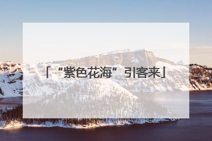 “紫色花海”引客来