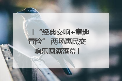 “经典交响+童趣冒险” 两场惠民交响乐圆满落幕