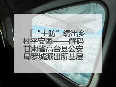 “主防”绣出乡村平安图——解码甘肃省高台县公安局罗城派出所基层治理新实践