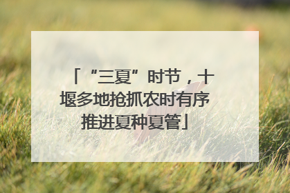 “三夏”时节，十堰多地抢抓农时有序推进夏种夏管