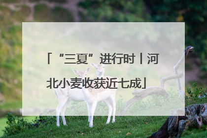 “三夏”进行时丨河北小麦收获近七成