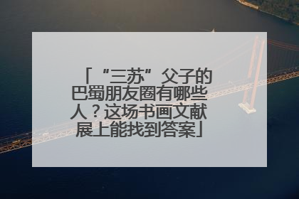 “三苏”父子的巴蜀朋友圈有哪些人？这场书画文献展上能找到答案