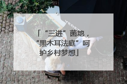 “三进”菌地，“黑木耳法庭”呵护乡村梦想