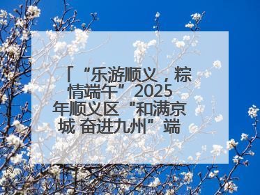 “乐游顺义，粽情端午”2025年顺义区“和满京城 奋进九州”端午主题活动启幕