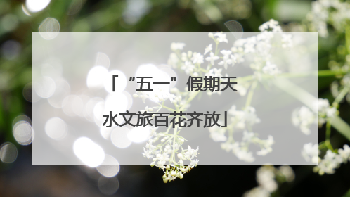 “五一”假期天水文旅百花齐放