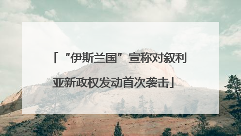 “伊斯兰国”宣称对叙利亚新政权发动首次袭击