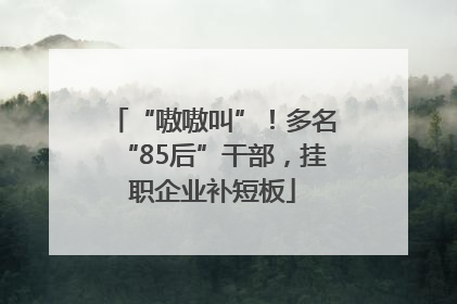 “嗷嗷叫”！多名“85后”干部，挂职企业补短板