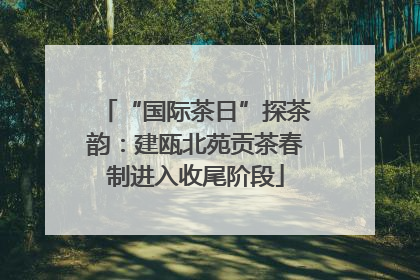 “国际茶日”探茶韵：建瓯北苑贡茶春制进入收尾阶段