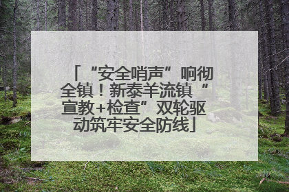“安全哨声”响彻全镇！新泰羊流镇“宣教+检查”双轮驱动筑牢安全防线