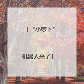“小萝卜”机器人来了