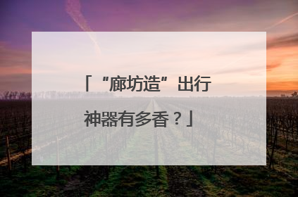 “廊坊造”出行神器有多香？