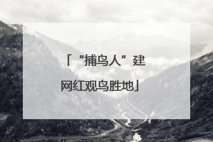 “捕鸟人”建网红观鸟胜地