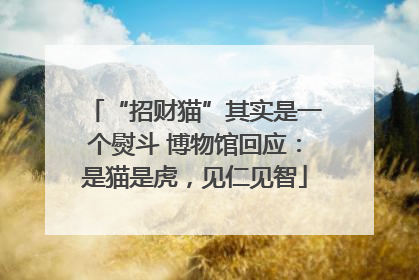 “招财猫”其实是一个熨斗 博物馆回应：是猫是虎，见仁见智