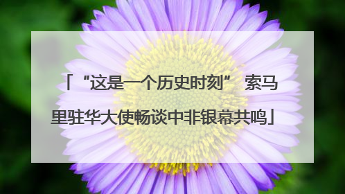 “这是一个历史时刻” 索马里驻华大使畅谈中非银幕共鸣