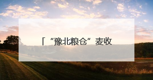 “豫北粮仓”麦收跑出“加速度”