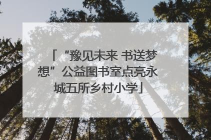 “豫见未来 书送梦想”公益图书室点亮永城五所乡村小学