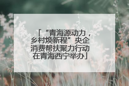“青海源动力，乡村焕新程”央企消费帮扶聚力行动在青海西宁举办