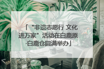 “非遗志愿行 文化进万家”活动在白鹿原·白鹿仓圆满举办