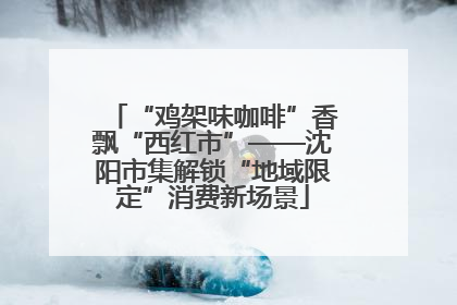“鸡架味咖啡”香飘“西红市”——沈阳市集解锁“地域限定”消费新场景