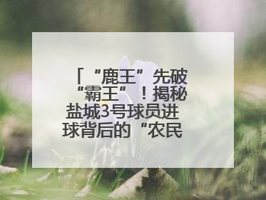 “鹿王”先破“霸王”！揭秘盐城3号球员进球背后的“农民街游侠”联盟
