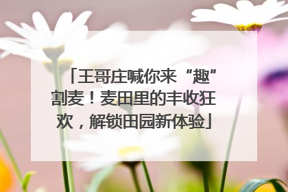 王哥庄喊你来“趣”割麦！麦田里的丰收狂欢，解锁田园新体验