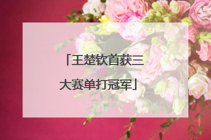 王楚钦首获三大赛单打冠军