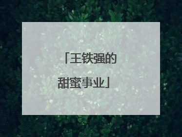 王铁强的甜蜜事业