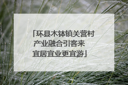 环县木钵镇关营村 产业融合引客来 宜居宜业更宜游