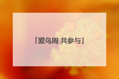 爱鸟周 共参与