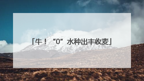 牛！“0”水种出丰收麦