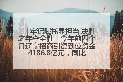 牢记嘱托显担当 决胜之年夺全胜丨今年前四个月辽宁招商引资到位资金4186.8亿元，同比增长17.4%