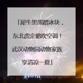 犀牛黑熊蹭冰块，东北虎企鹅吹空调！武汉动物园动物家族享清凉一夏