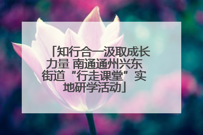 知行合一汲取成长力量 南通通州兴东街道“行走课堂”实地研学活动