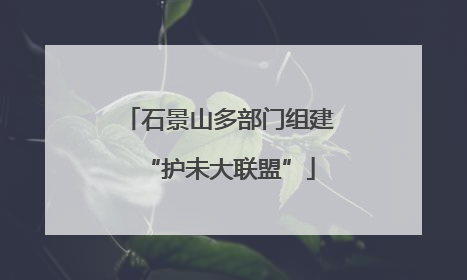 石景山多部门组建“护未大联盟”