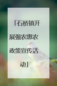 石桥镇开展强农惠农政策宣传活动