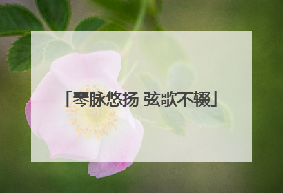 琴脉悠扬 弦歌不辍