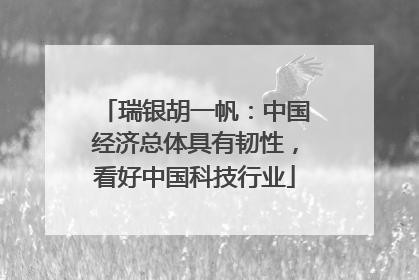 瑞银胡一帆：中国经济总体具有韧性，看好中国科技行业