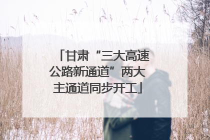 甘肃“三大高速公路新通道”两大主通道同步开工