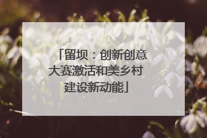 留坝：创新创意大赛激活和美乡村建设新动能