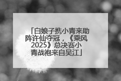 白娘子携小青来助阵许仙夺冠，《乘风2025》总决赛小青战袍来自吴江